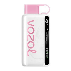 VOZOL STAR Strawberry Ice Cream 12000pfs 5%