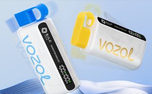 VOZOL Disposable