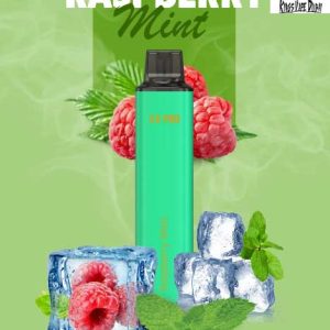 Arabisk Raspberry Mint 4000pfs